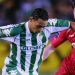 Vuelve el Betis de Champions: la última andadura verdiblanca en la élite europea